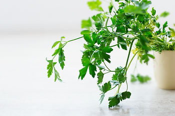 fresh parsley