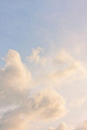 Image by Matt Palmer