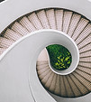 Image by Dan Freeman