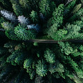 Image by Geran de Klerk