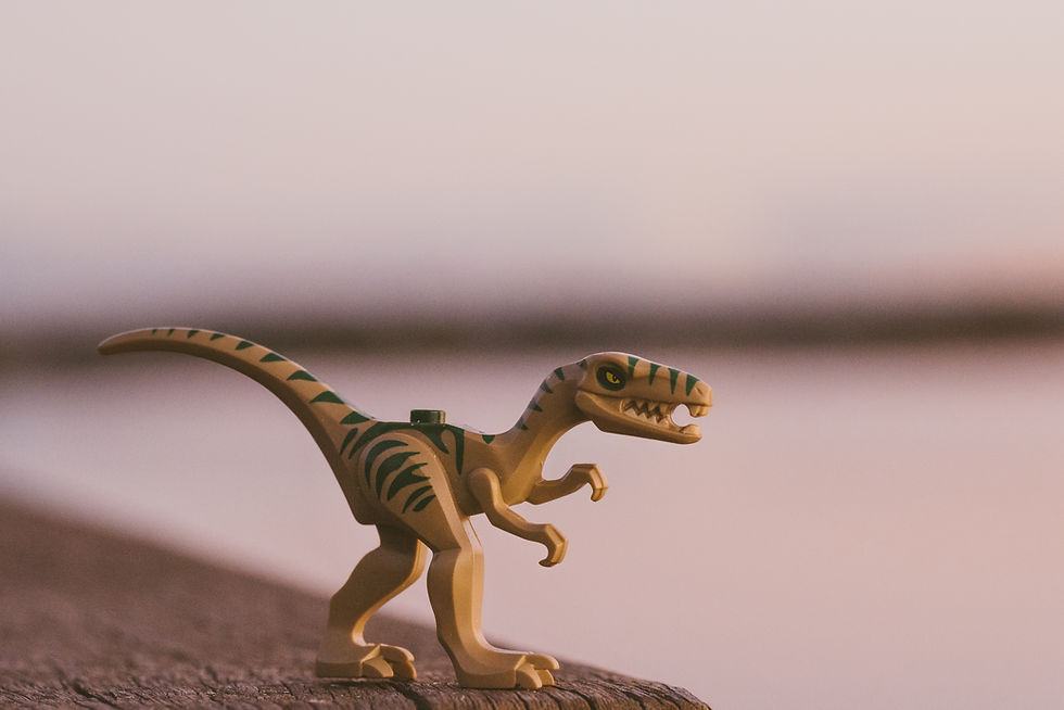 image of T-Rex