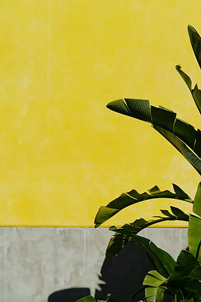 Image by Ryoji Iwata
