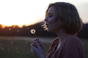 Image by Havilah Galaxy