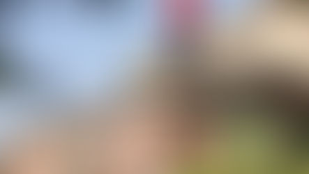 Latino on the roof, malking repairs