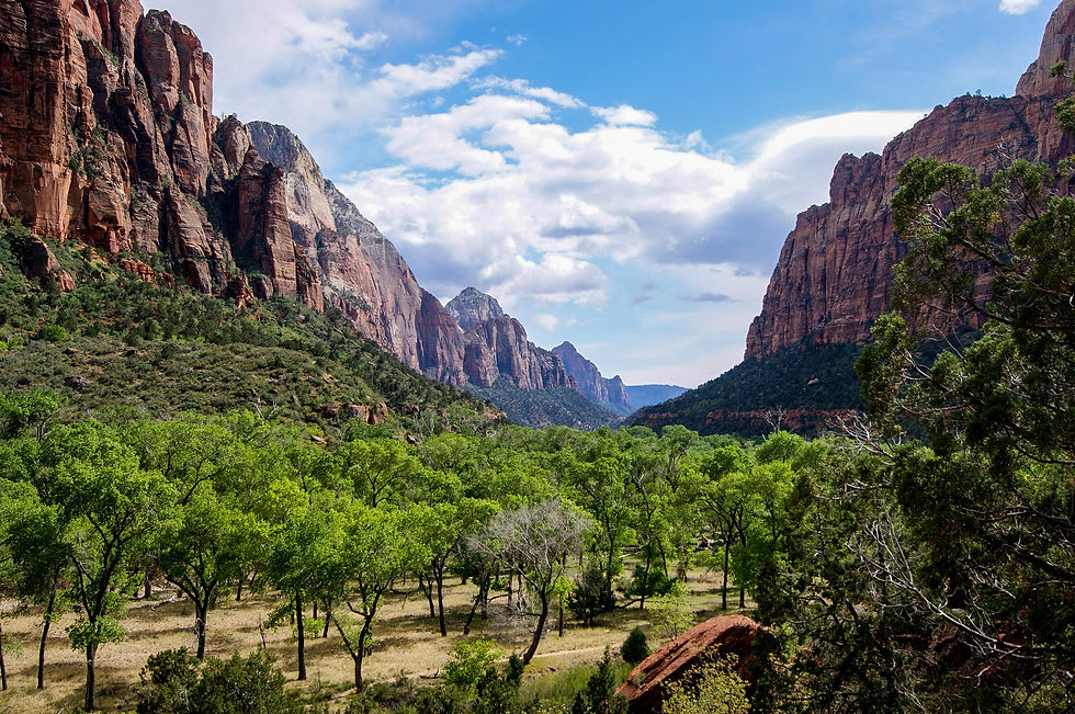 Zion National Park canyon views