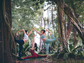 200-Hour Yoga Teacher Training in India – Build Confidence, Strength, and Wisdom