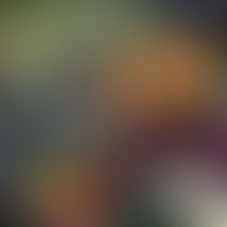 Livsstil hva betyr det egentlig?