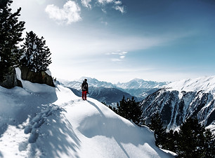 Image by Dino Reichmuth