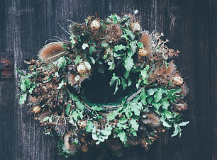 Image by Annie Spratt