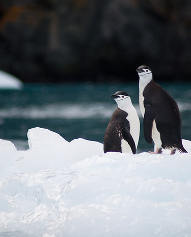 Image by Torsten Dederichs