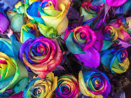 Beauty for Ashes in a painful season.