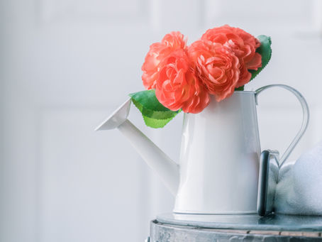 Growth II: Watering