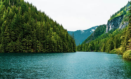 Image by Lumière Rezaie