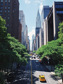 Image by Robert Bye