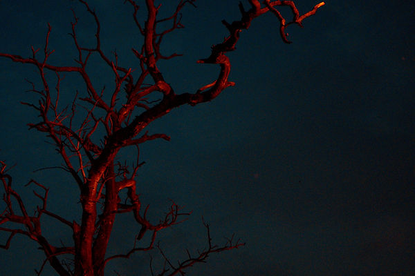 Image by Prateek Katyal