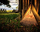 Image by Ronaldo de Oliveira