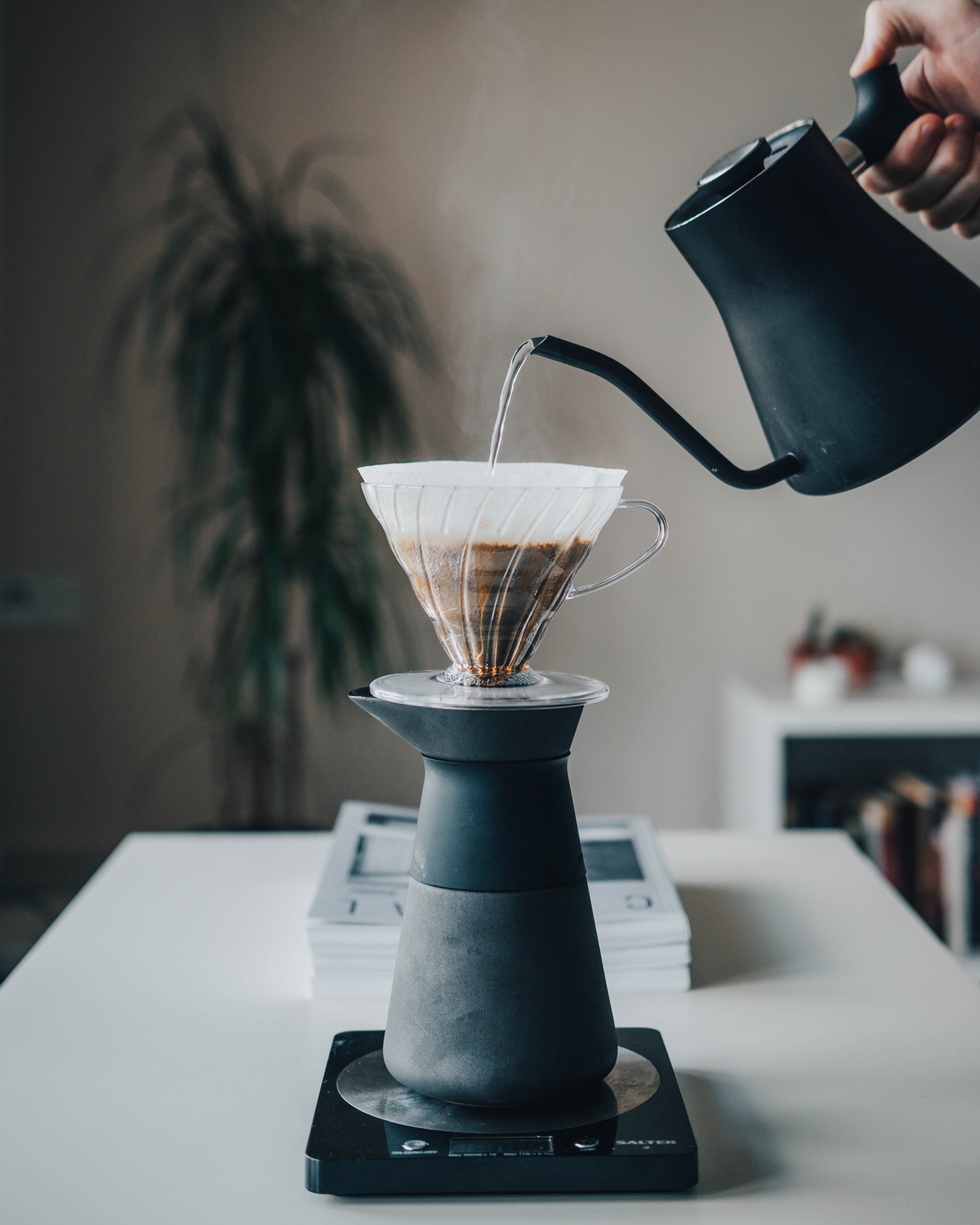 Best Coffee Forum. content media