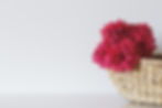 Fresh Flowers