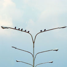 Peer-to-Peer Marketplace
