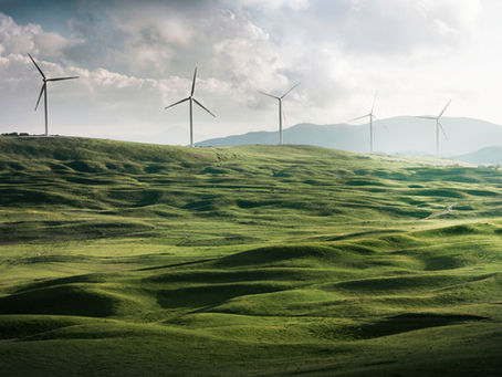 Making Your Business Greener with Renewable Energy