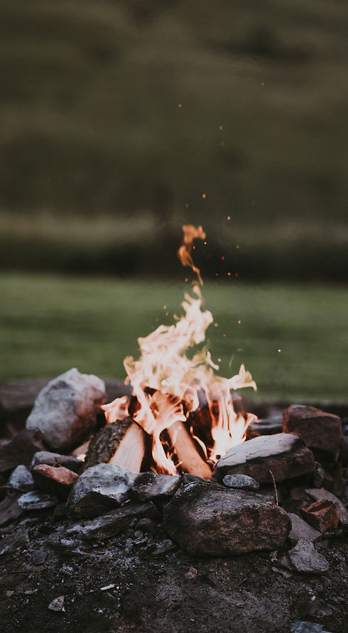 Image by Annie Spratt