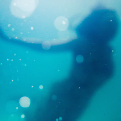 The Fascinating World Of Professional MerPeople