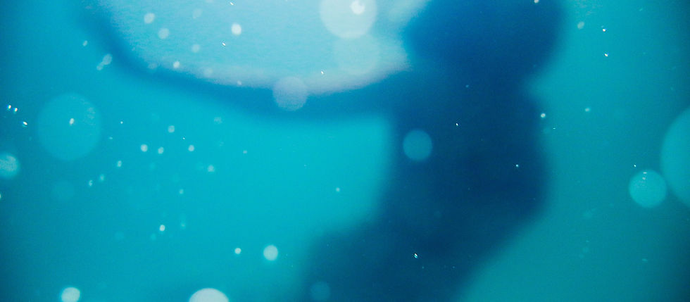 Image by Nsey Benajah