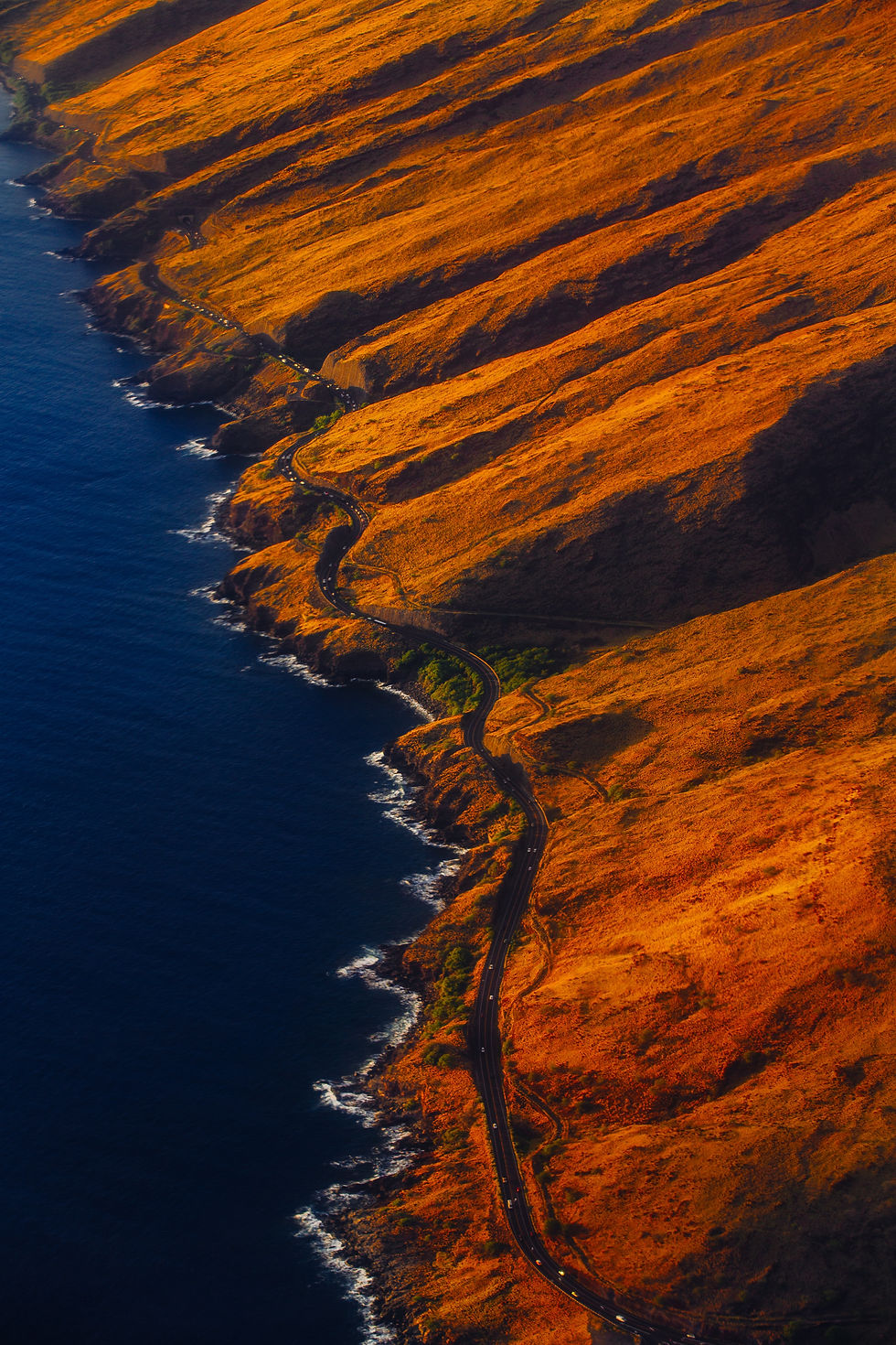 Image by Anton Repponen