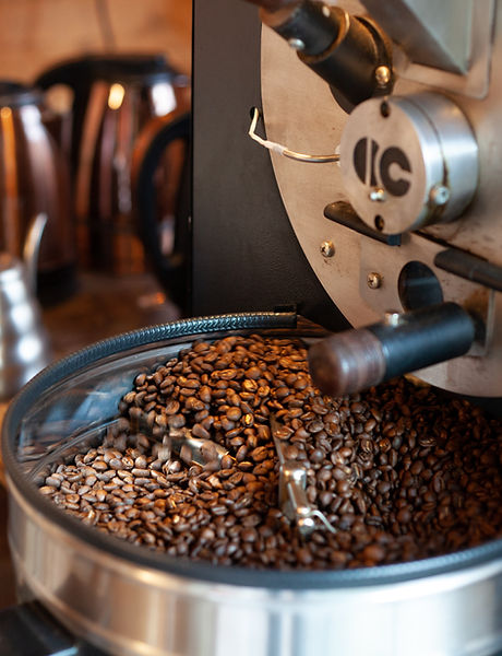 Image by PROJETO CAFÉ GATO-MOURISCO