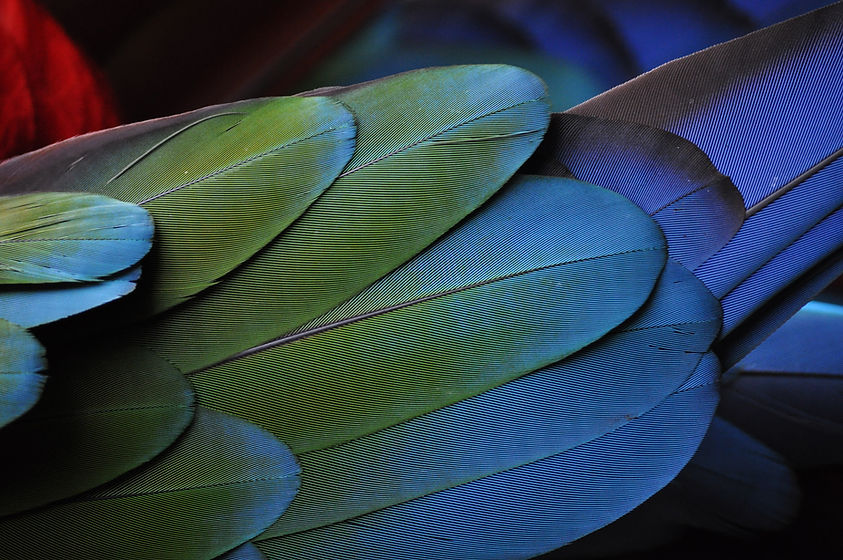 Image by photostockeditor