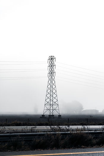 Image by Meritt Thomas