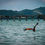 Thumbnail: Best of Malaysia