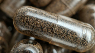 Supplements for Energy & Focus