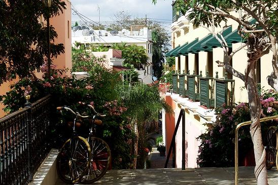 Image by Nikita Castro