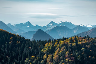train allemagne evenement