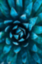 Image de Meritt Thomas
