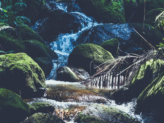 5 Ways to Lower Your Stress Level with a Mountain Getaway to Sapphire, NC.