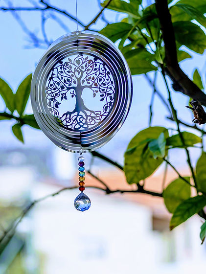 Image by Lavi Perchik