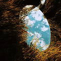 Image by Inga Gezalian