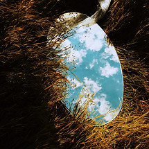 Image by Inga Gezalian