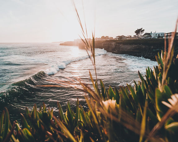 Image by Simon Shim
