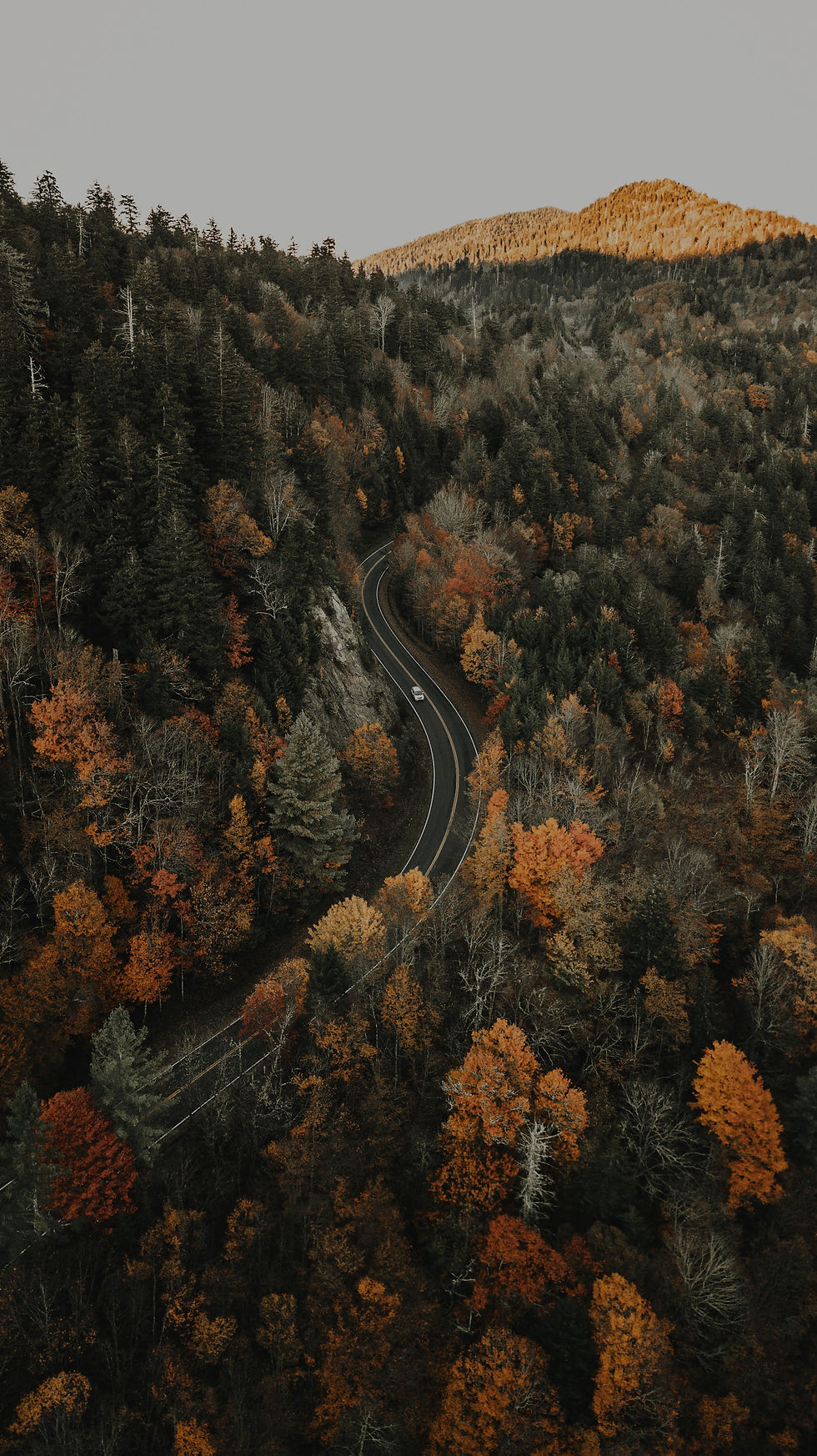 Image by Clay Banks