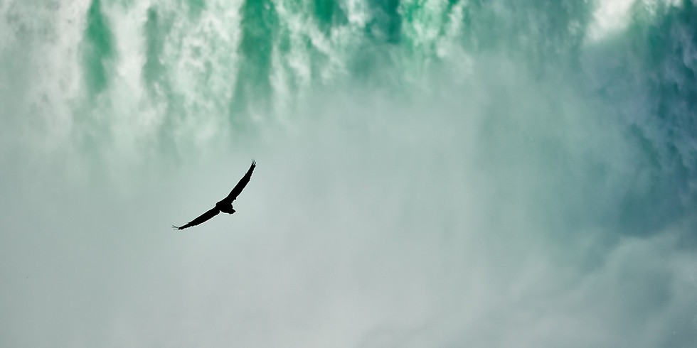 The Wings of Awakening: An Introduction to Mindfulness & Compassion Meditation