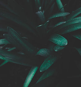 Image by Stormseeker