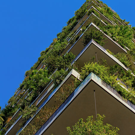Architectural Trends Shaping the Future of Sustainable Design in Construction