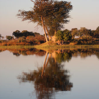 Botswana Africas Best-Kept Secret for Romantic Safari Adventures 
