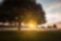 Sunrise peeking through a silhouetted tree and fog. Image by Simon Wilkes