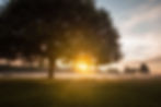 Come to Life - a Sound Meditation