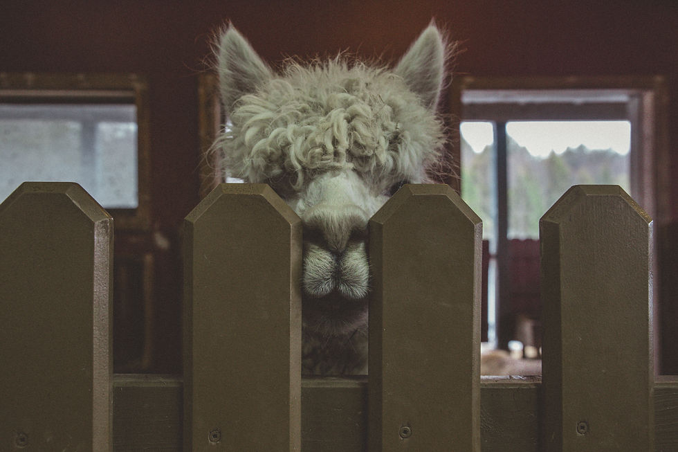 Image by Jp Valery
