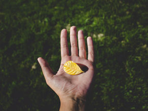 Leading Others to Gratitude